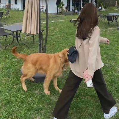 血色罗马