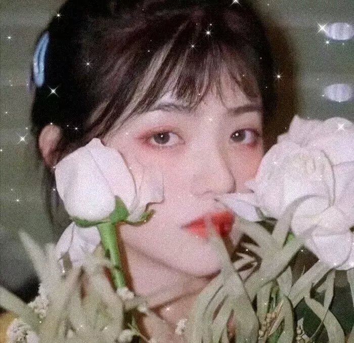 土豆的美国梦